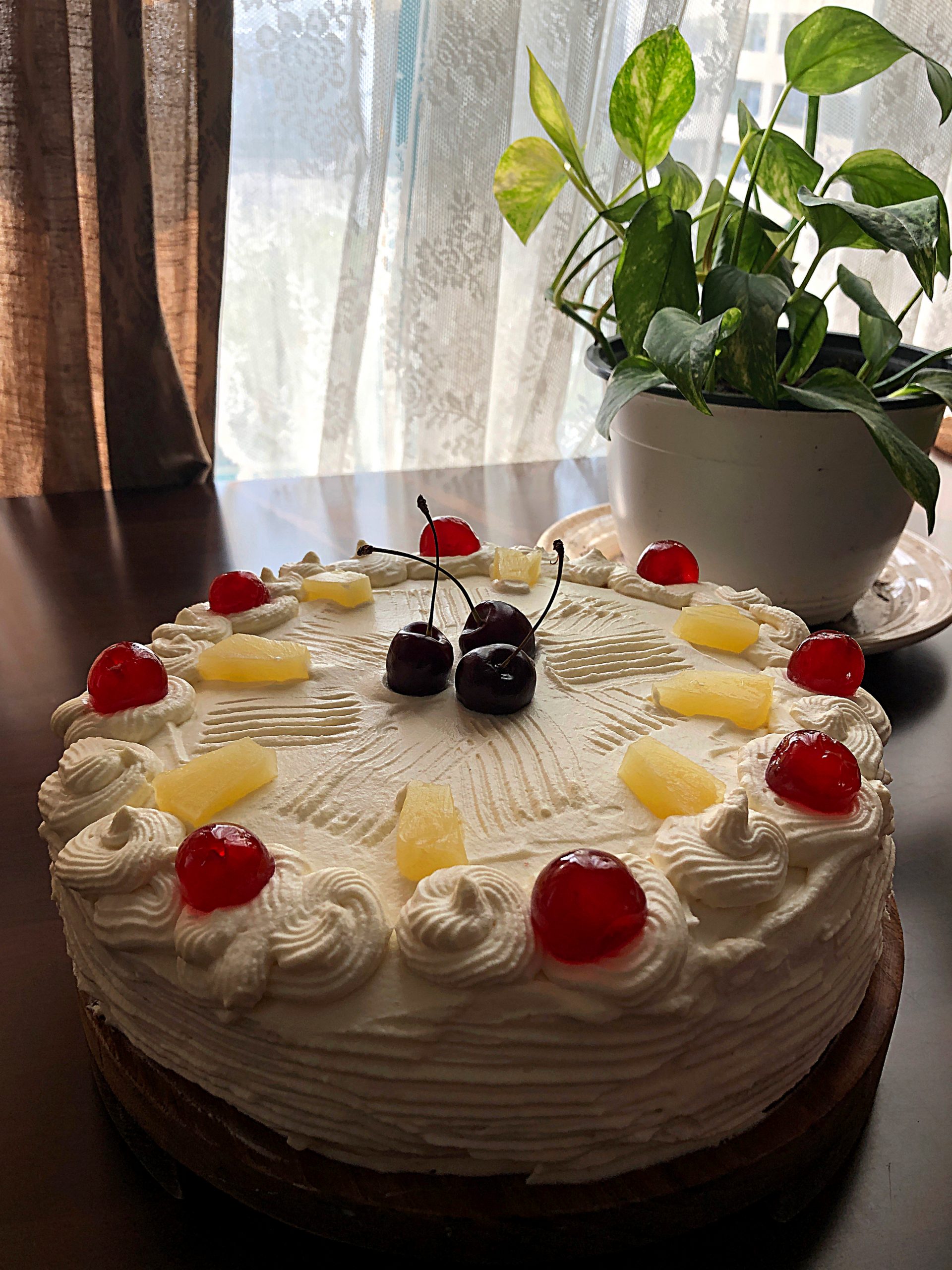 Tiramisu Cake – Modern Pastry
